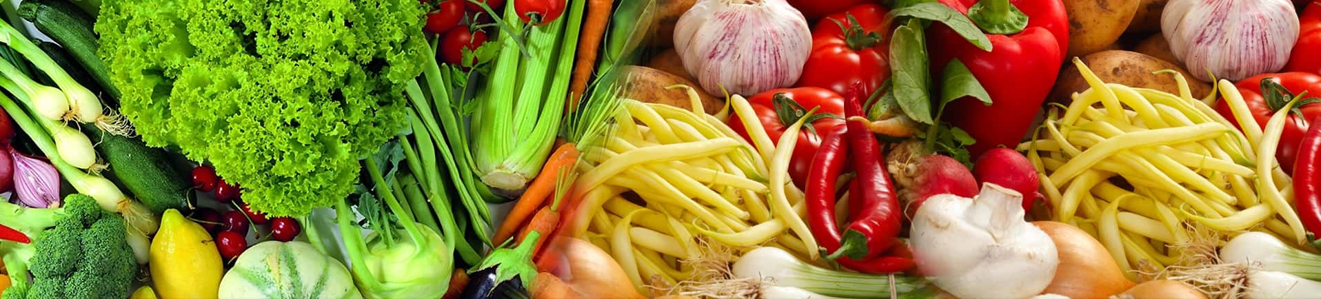 Fresh-Vegetables-Banner